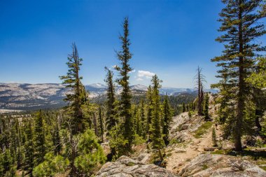Yosemite Ulusal Parkı