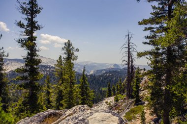 Yosemite Ulusal Parkı