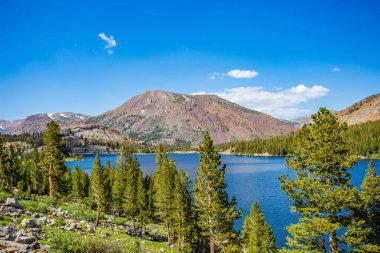 Yosemite Ulusal Parkı