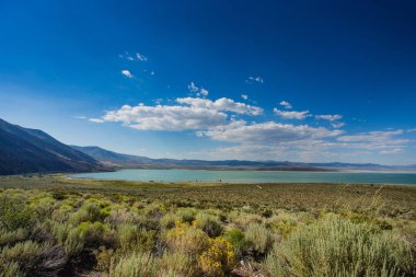 Yosemite Ulusal Parkı yollar
