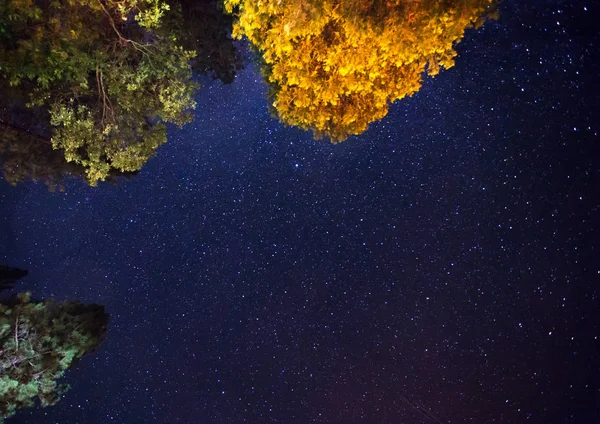 Parque Nacional Yosemite — Foto de Stock