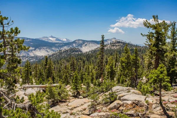 Parque Nacional Yosemite — Foto de Stock