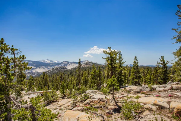 Yosemite nationalpark — Stockfoto