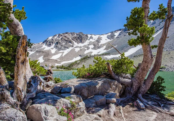 Mammoth Lakes dağlar