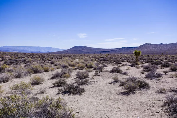 Národní park Death Valley — Stock fotografie