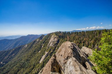 Sekoya Ulusal Parkı