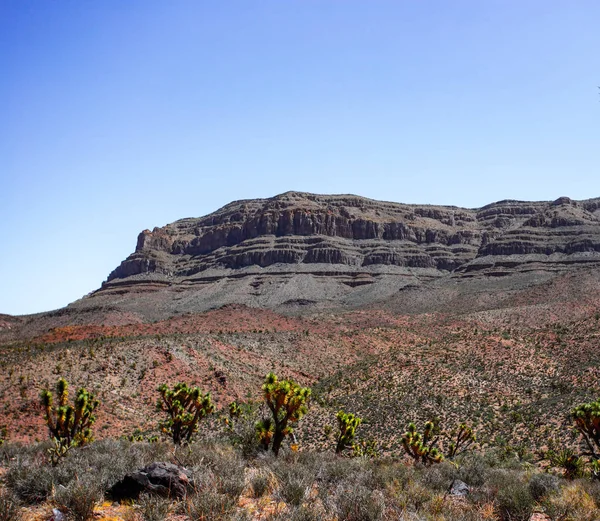 Grand Canyon Park — Stock fotografie