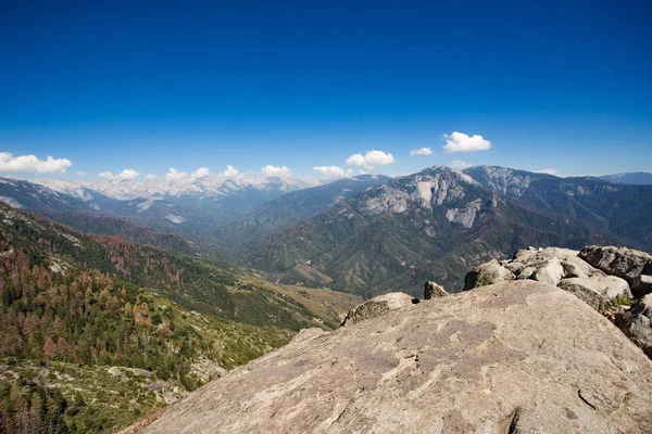 Sekoya Ulusal Parkı