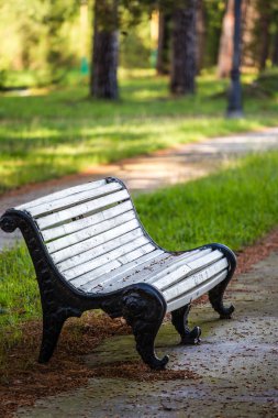 Abhazya Pitsunda kıyı ve park