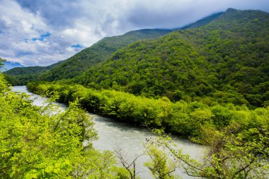 Gagra Abhazya/Schaffhausen