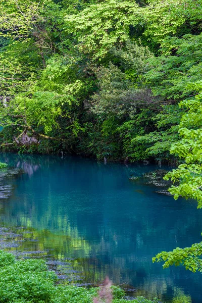 Abhazya yeni Athos tren istasyonu 