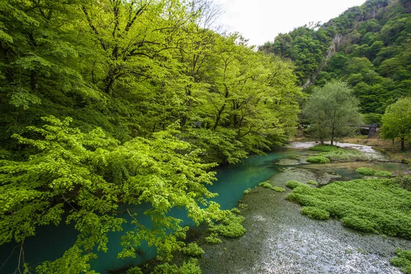 Abhazya yeni Athos tren istasyonu 
