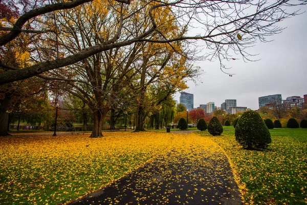 Boston no Outono — Fotografia de Stock