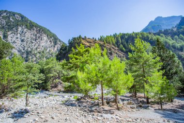 Samiriye Gorge Crete