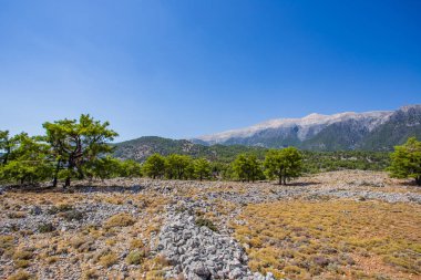 Yunanistan Crete yerler