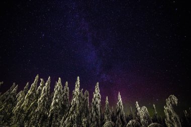 Gece gökyüzü Lapland Finland