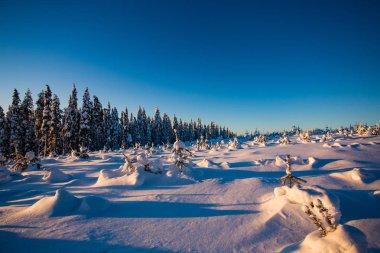 Lapland Ukkohalla kışın