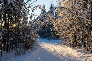 Lapland Ukkohalla kışın