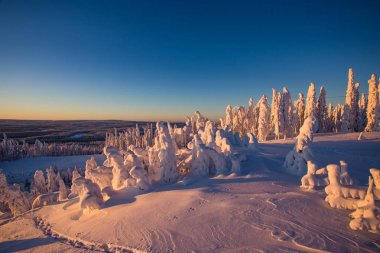 Lapland Ukkohalla kışın