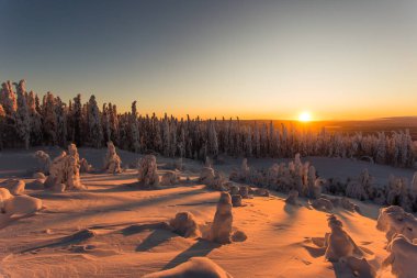 Lapland Ukkohalla kışın