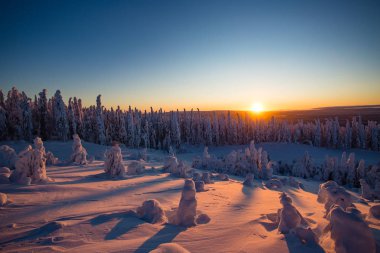 Lapland Ukkohalla kışın