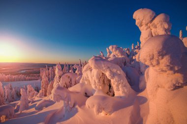 Lapland Ukkohalla kışın
