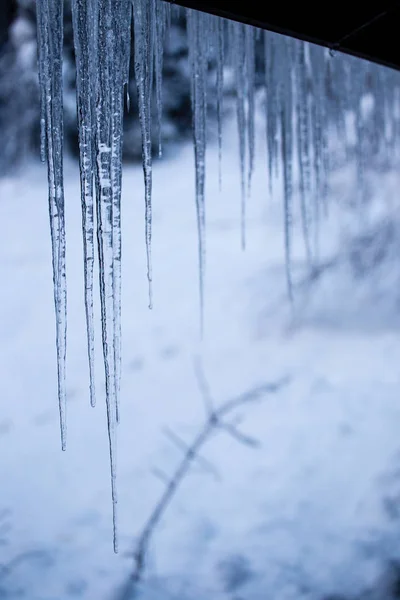 ウコアラの冬 Lapland Finland — ストック写真