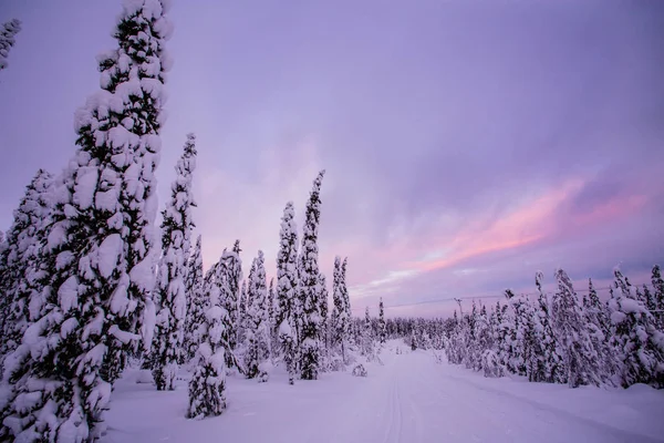 Ukkohalla拉普兰冬季芬兰 — 图库照片