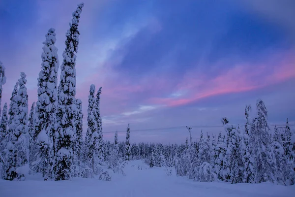 Zima Ukkohalla Lapland Finsko — Stock fotografie