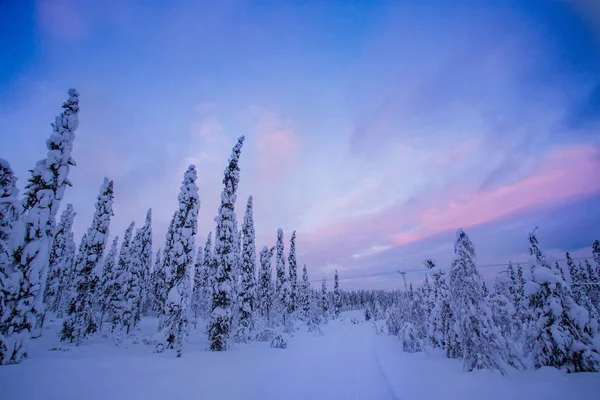 Vintern Ukkohalla Lappland Finland — Stockfoto