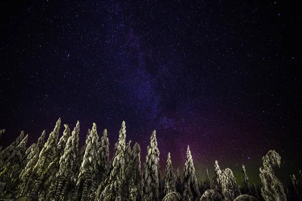 Cielo Nocturno Laponia Finlandia — Foto de Stock