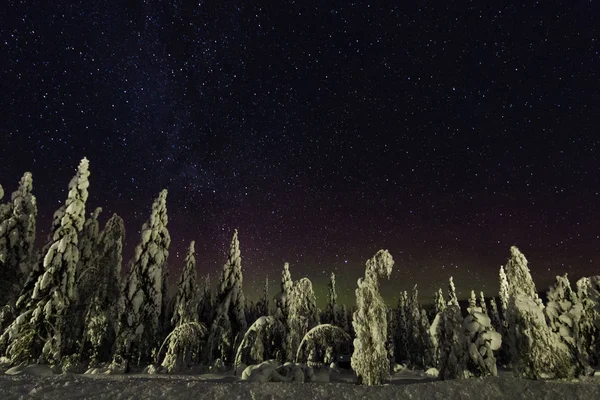 Cielo Nocturno Laponia Finlandia — Foto de Stock