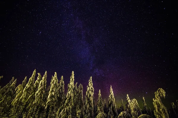 Cielo Nocturno Laponia Finlandia — Foto de Stock