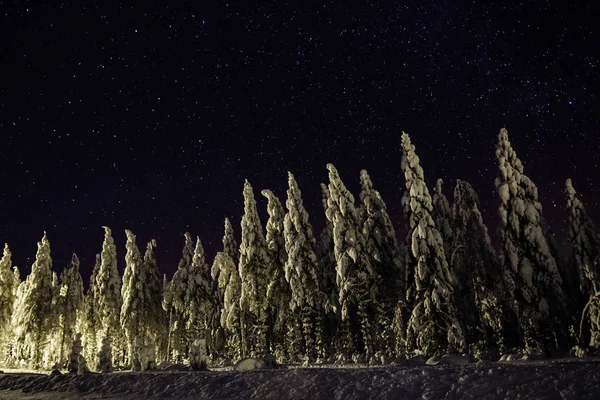 Cielo Nocturno Laponia Finlandia — Foto de Stock