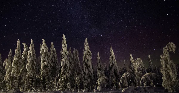 Éjszaka Lappföld Finnország — Stock Fotó