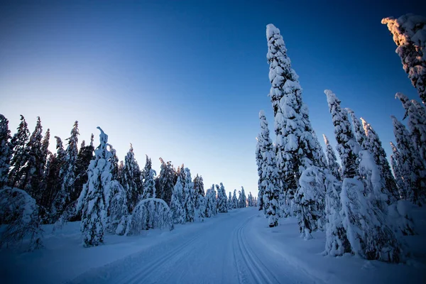 Kuzey kayağı Laponya Ukkohalla