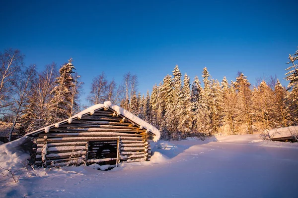 Nordic Skiing Lapland Ukkohalla — стокове фото