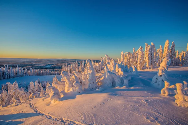 冬のラップランドの Ukkohalla — ストック写真