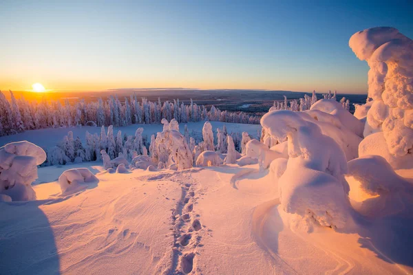 Lapland Ukkohalla kışın