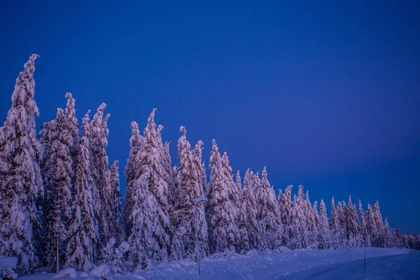 在拉普兰的冬天 Ukkohalla — 图库照片