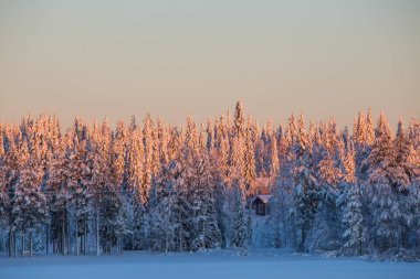 Ruka Finlandiya Lapland kış tatil