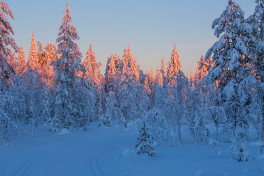 Ruka Finlandiya Lapland kış tatil
