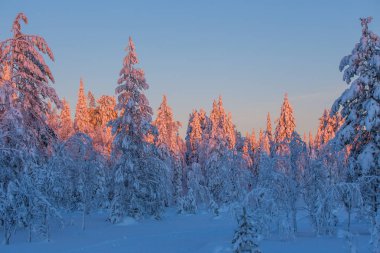 Ruka Finlandiya Lapland kış tatil