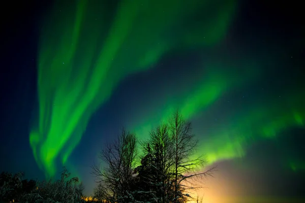 Cielo Nocturno Laponia Finlandia — Foto de Stock