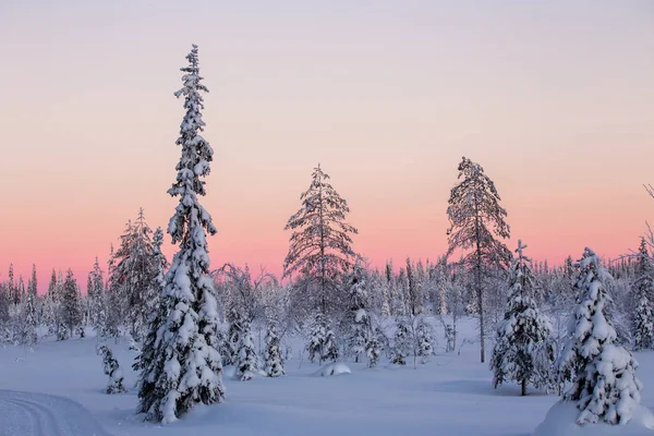 Ruka 芬兰拉普兰的冬季假期 — 图库照片