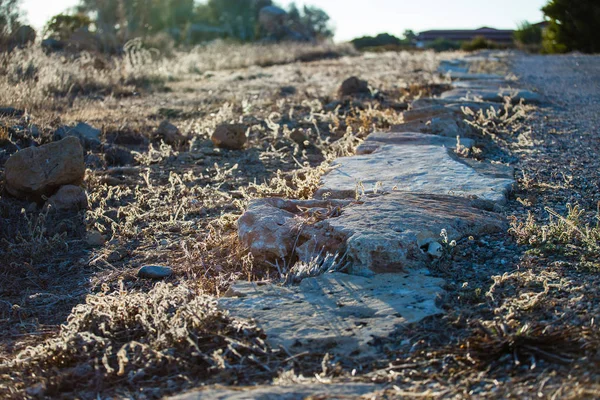 Archeologické Naleziště Kypr Paphos — Stock fotografie