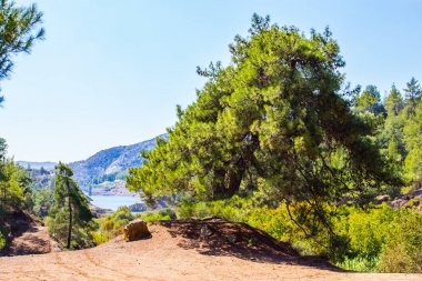 Kıbrıs Troodos Dağları sayısı
