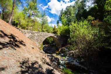 Kıbrıs Troodos Dağları sayısı