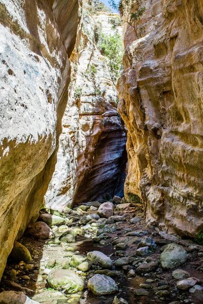 Ущелье Авакас — стоковое фото