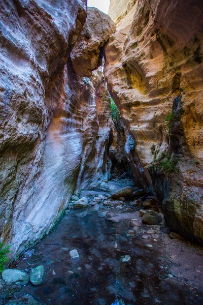 Avakas Gorge Trail Cyprus — Stockfoto